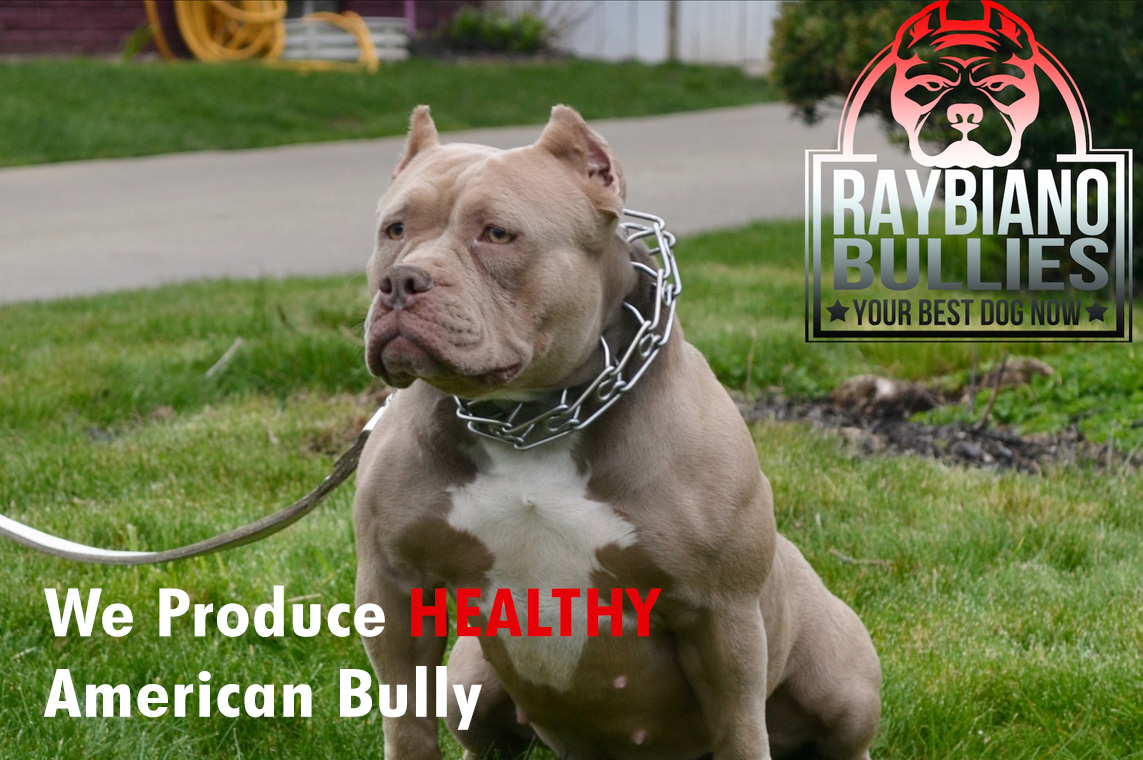 Raybiano Bullies